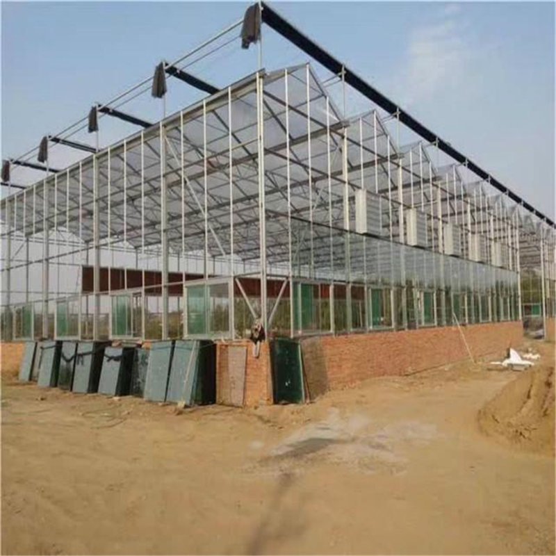 温室大棚建设：农业生产的绿色革命