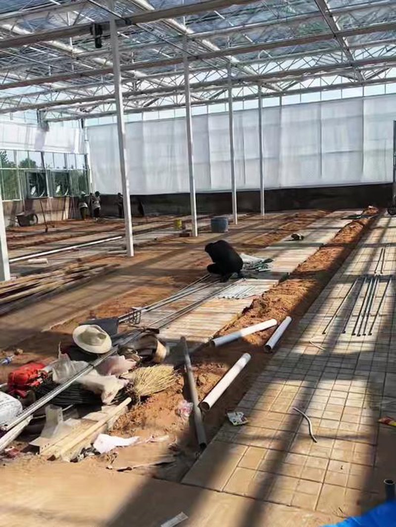 青州温室工程：现代种植技术的创新与突破