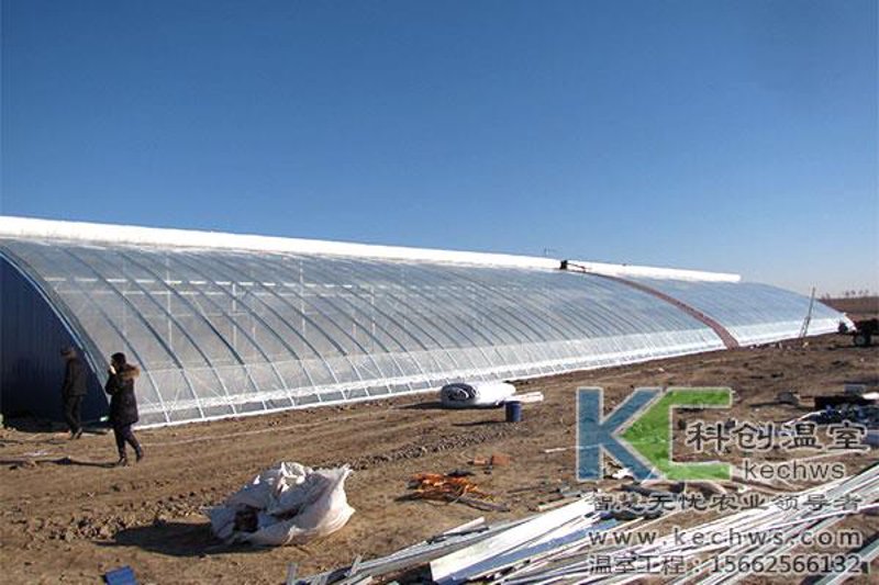 连栋温室造价探秘：构建现代农业的梦想工厂