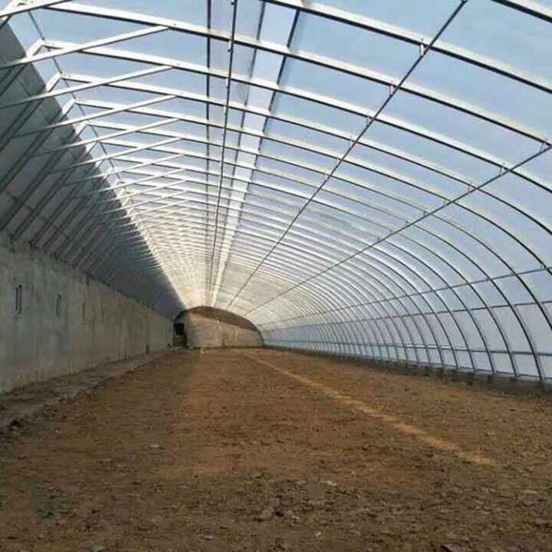 温室大棚建设：现代农业的绿色引擎