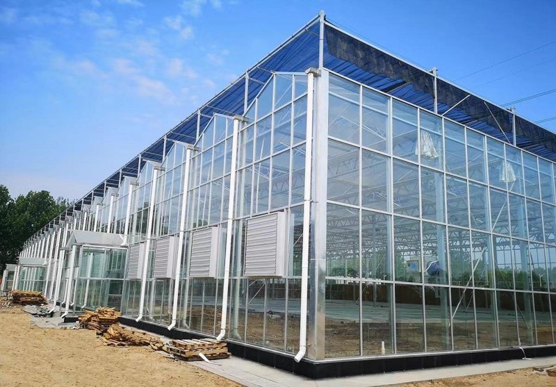 连栋温室造价解析：现代农业种植的秘密武器