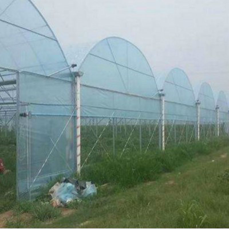 连栋温室造价解析：现代农业种植的秘密武器