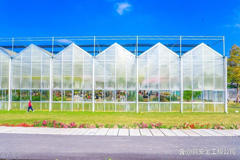 智能温室造价解析：推动现代农业发展