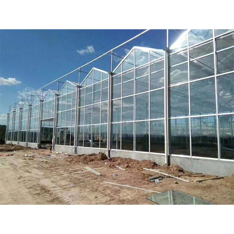 连栋温室造价揭秘：打造现代农业高效生产模式