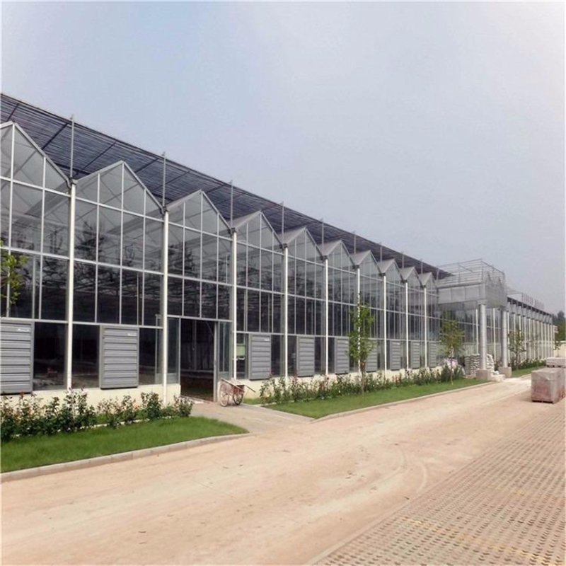 温室大棚建设：现代农业的绿色引擎
