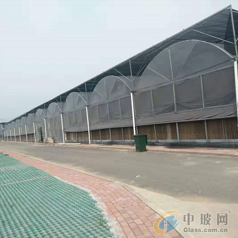 青州温室工程：农业科技的绿洲